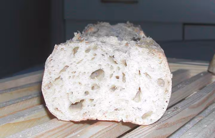 Mie baguette au levain fermentescible