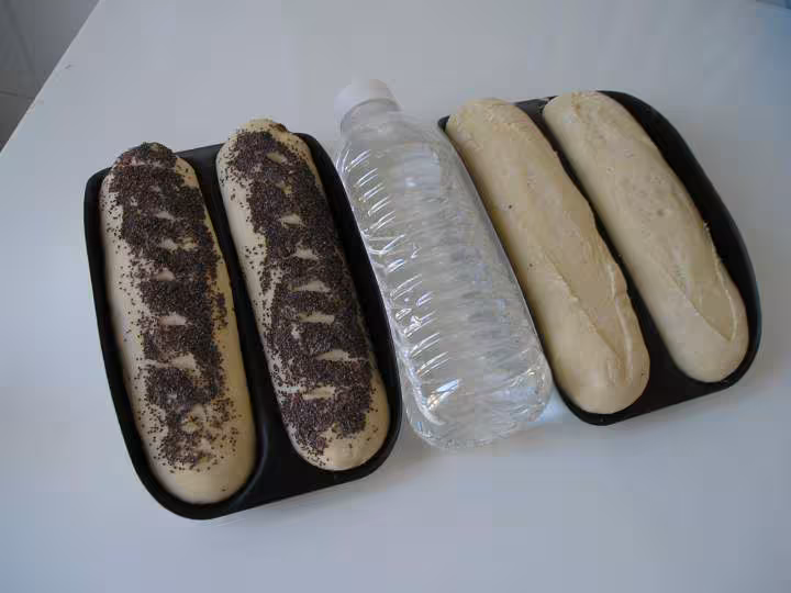 Baguettes map avant cuisson