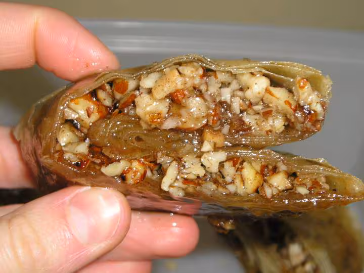 Baklawa zoom