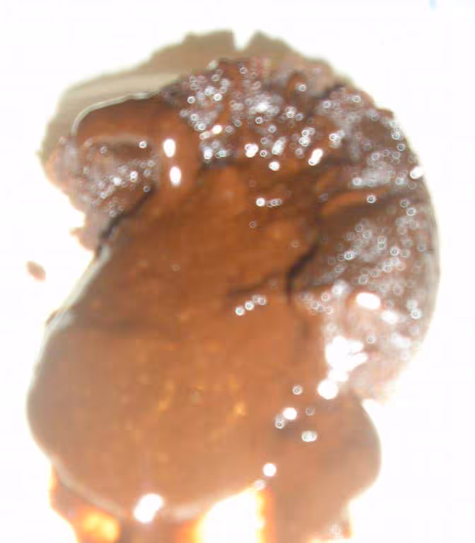 Coulant choco degoulinant