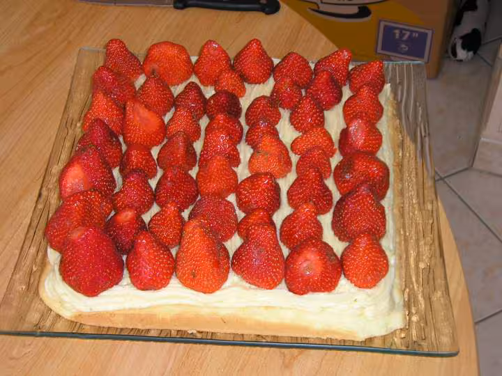 Fraisier 1ere couche