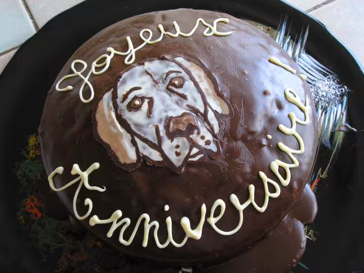 Gateau americain au chocolat