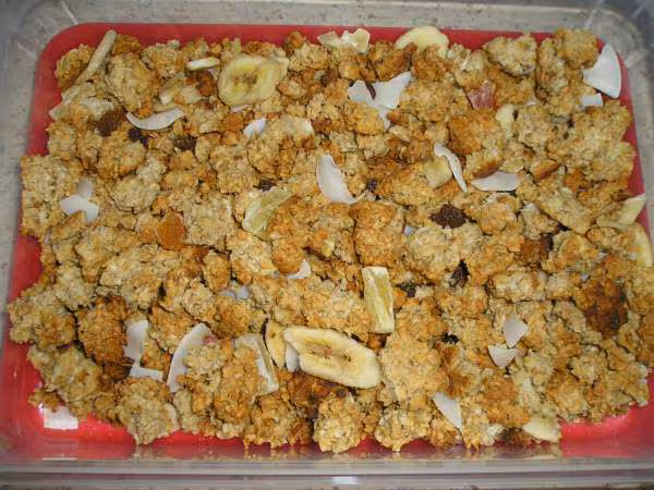 Muesli aux fruits secs