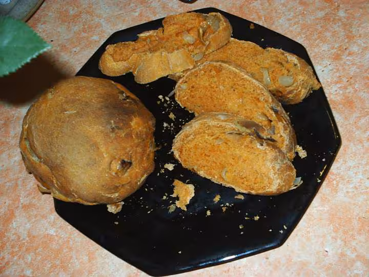 Pain aux oignons et a la tomate