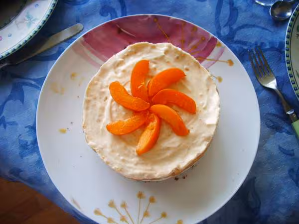 Gateau abricot chocolat