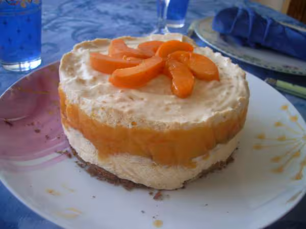 Gateau abricot chocolat