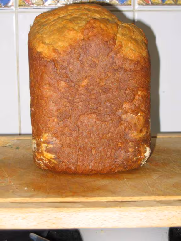 Brioche