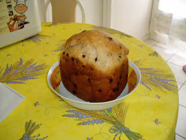 Brioche noix de coco et pepites de choc