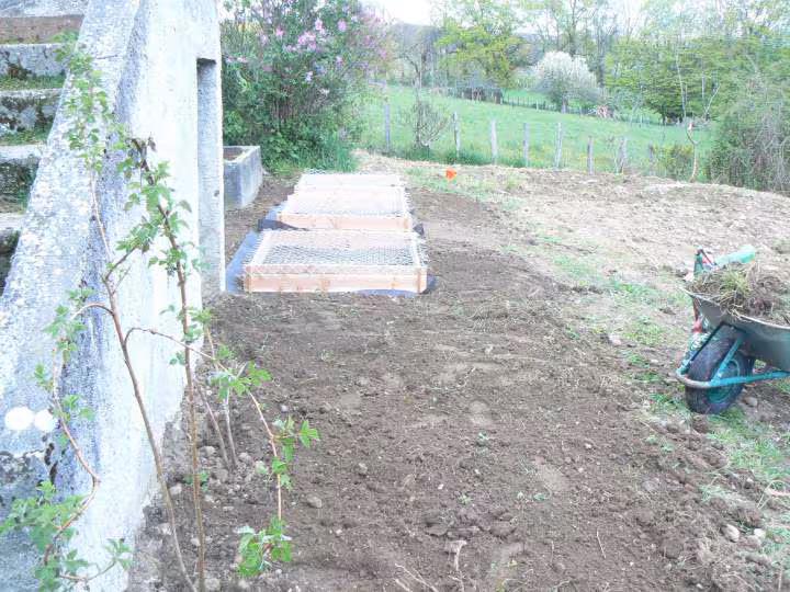 Jardin potager