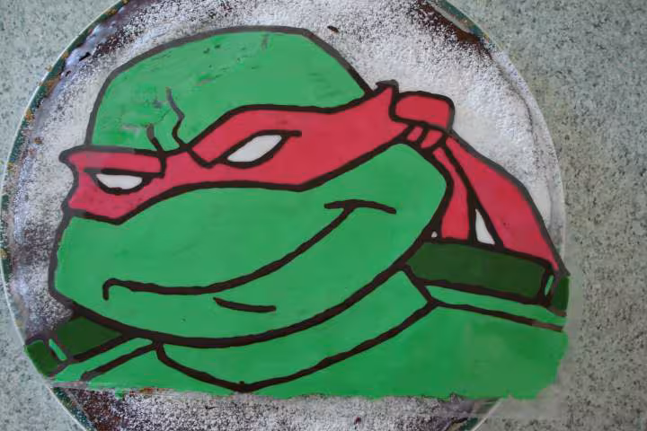 Tortue ninja