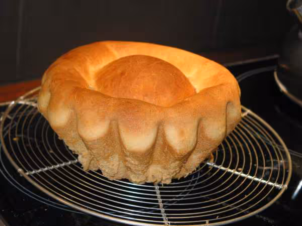 Brioche rapide tm 31