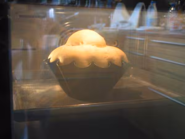 Brioche rapide tm31