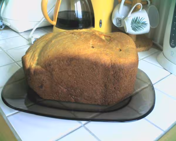 Brioche fracon gache vendeenne 1