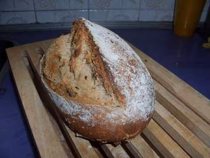 Levain graines avec grignes