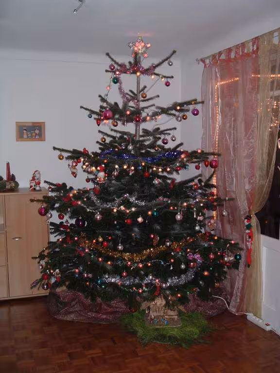 Mon sapin