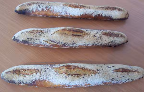 Baguette du 11 10 06