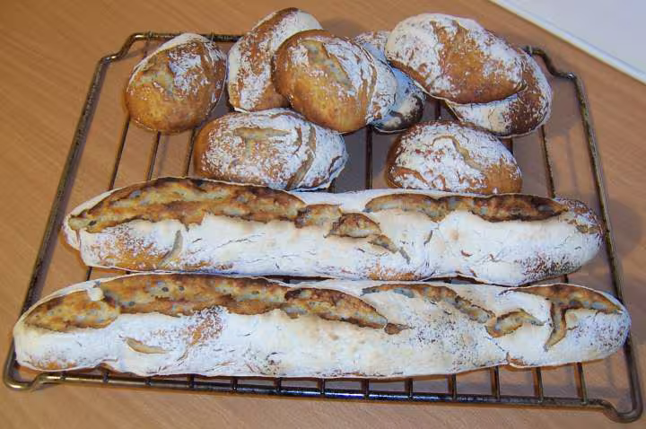 Baguettes et petits pains sans petrissage du 24 01 07