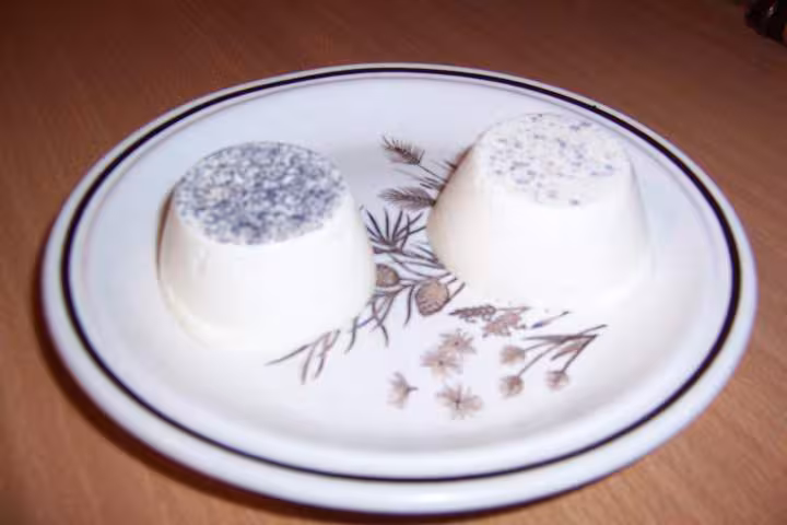 Panna cotta demoule du 09 11 07