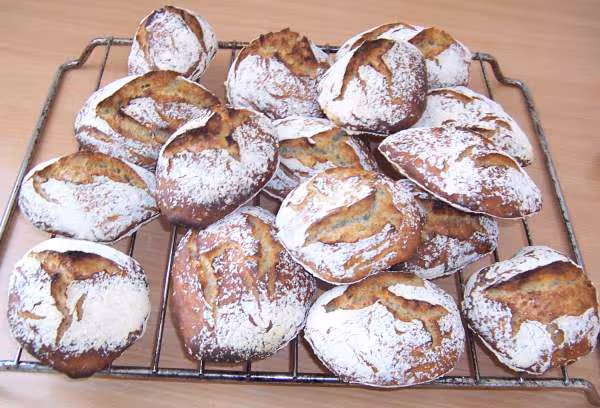 Petit pain du 20 12 06