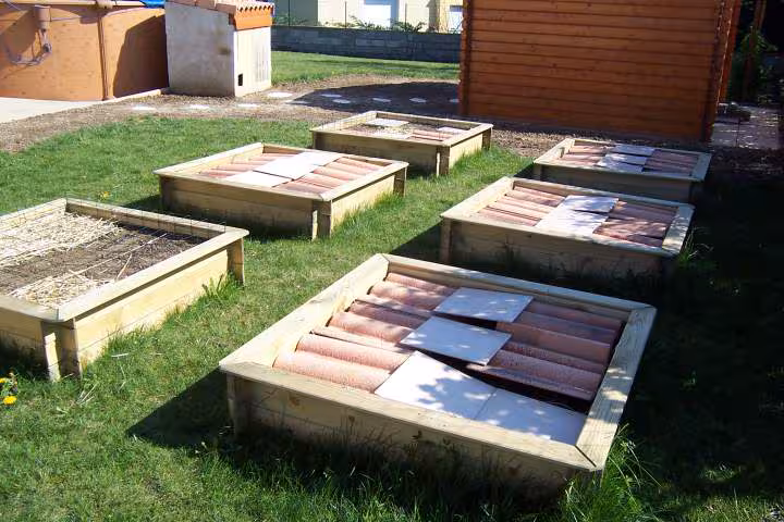 Potager en carre 1