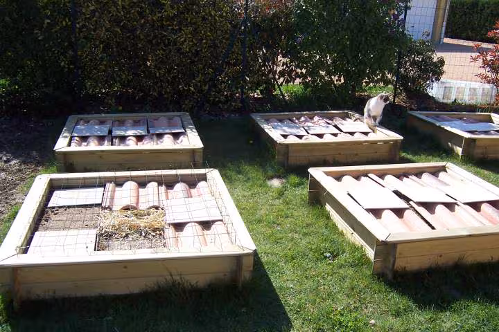 Potager en carre 2