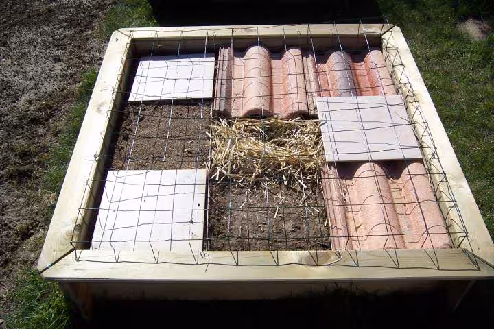 Potager en carre 3