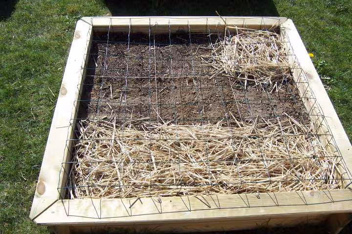 Potager en carre 4