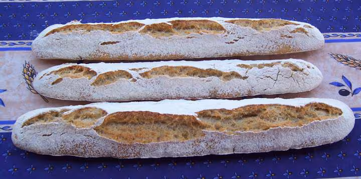 Psp baguette 25 04 07