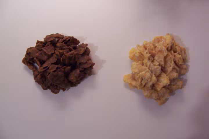 Roses des sables