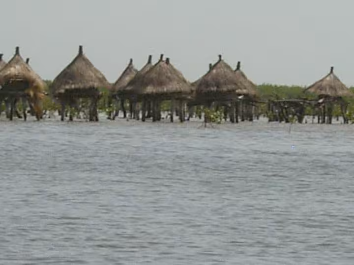 Senegal reserves a mil du saloom