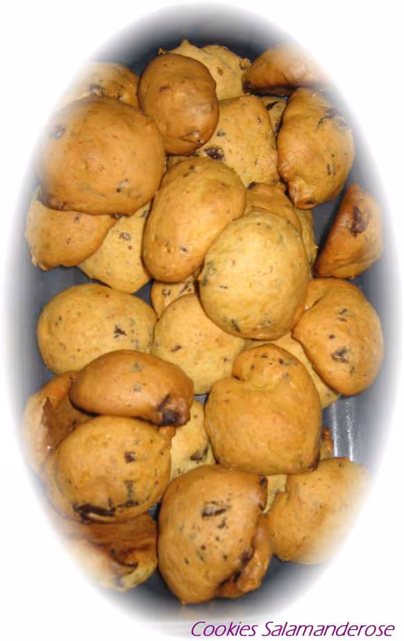 A27 cookies salamanderose