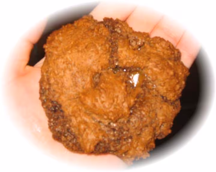 A30 cookies enormes rates
