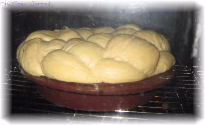 Brioche tressee de labiloutte dans le four