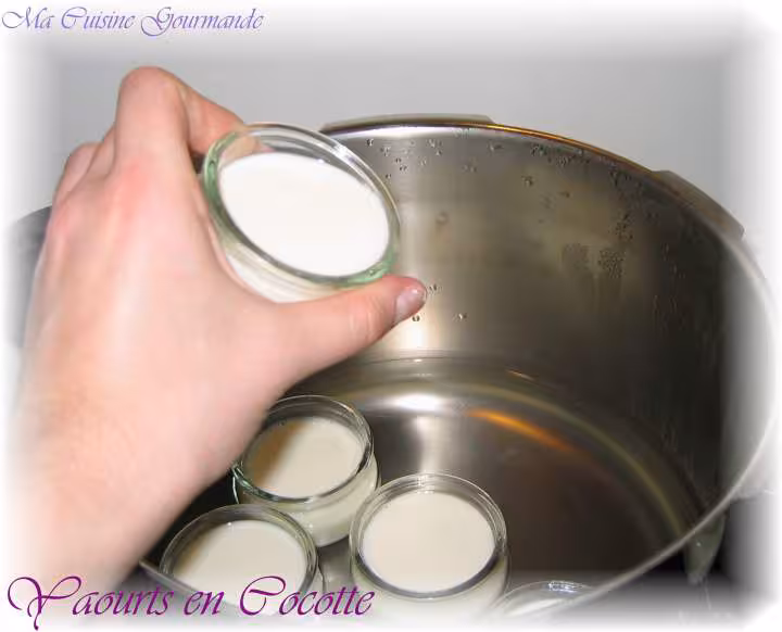 Premiers yaourts 0 en cocotte
