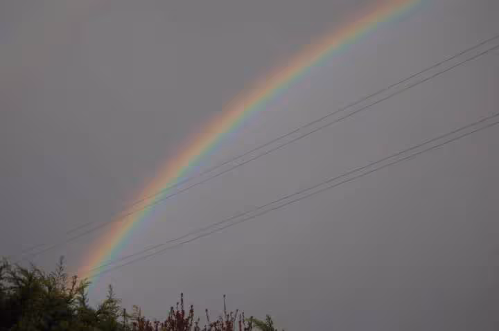 Apres la pluie