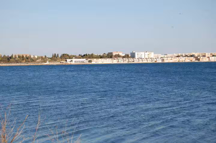 Autour de l etang