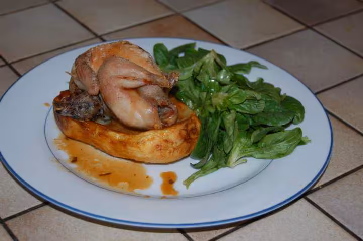 Caille au nid