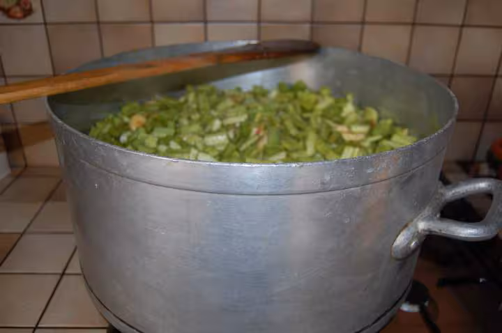 Rhubarbe
