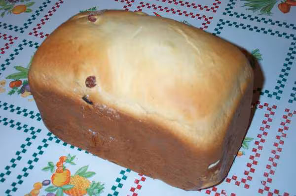 Brioche raisin 01