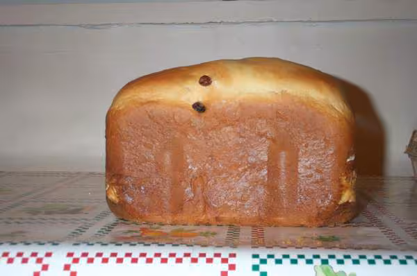 Brioche raisin 02