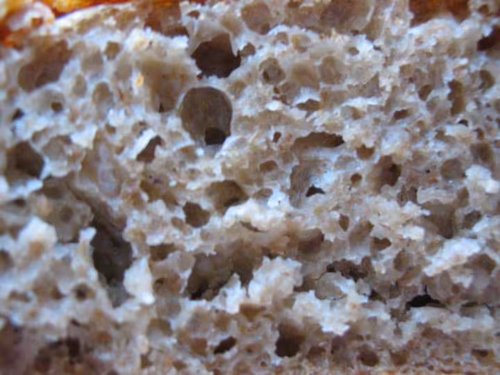 No knead bread