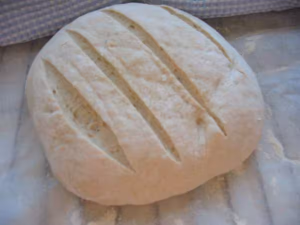 Pain au levain avant cuisson