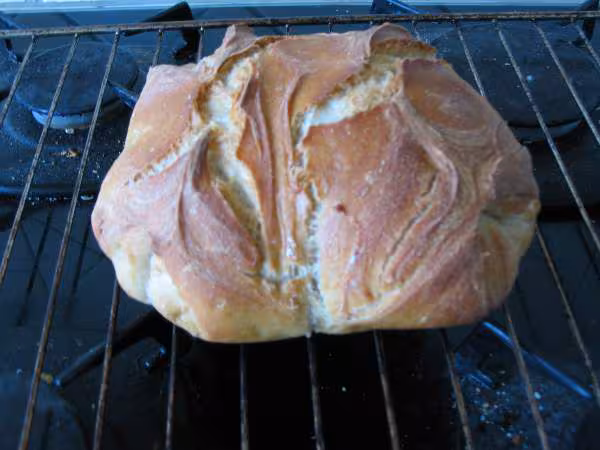 Pain d epautre
