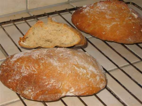 Pain sans petrissage