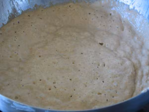 Poolish a la farine complete