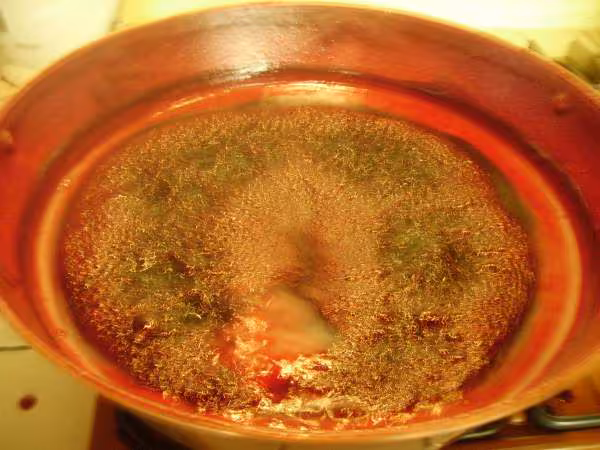 Cuisson de la gelee de sureau