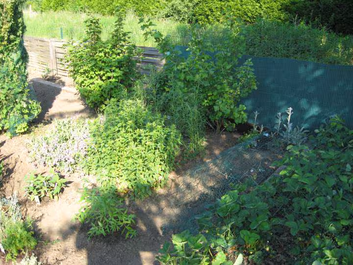 Jardin apres1