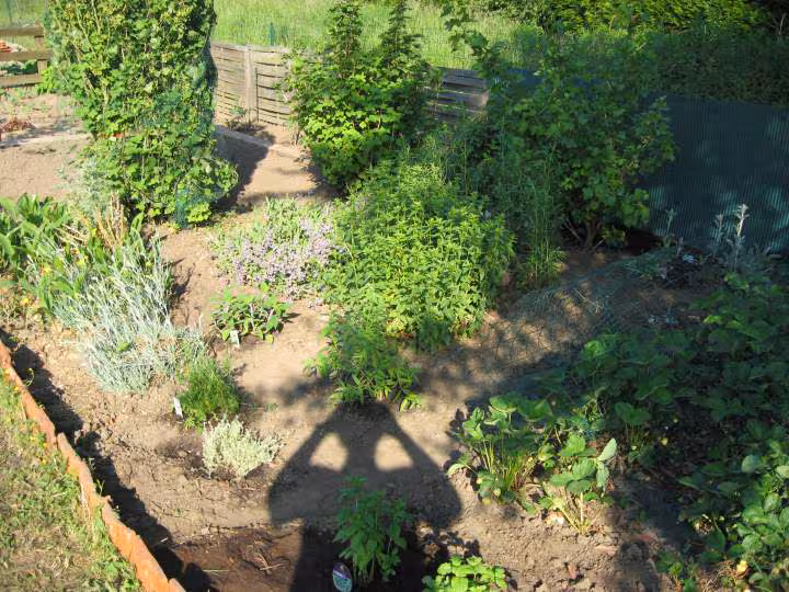 Jardin apres2