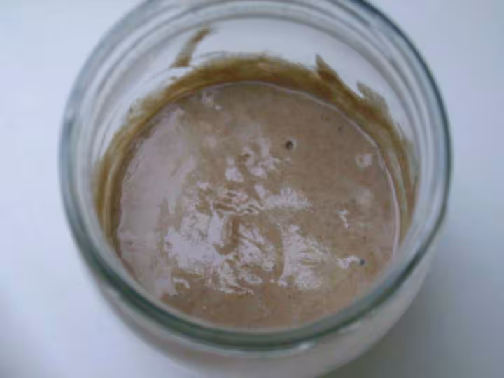 Levain1