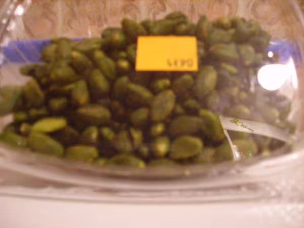 Pistaches non salees